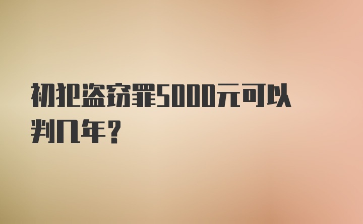 初犯盗窃罪5000元可以判几年?