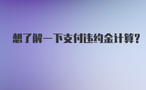 想了解一下支付违约金计算?