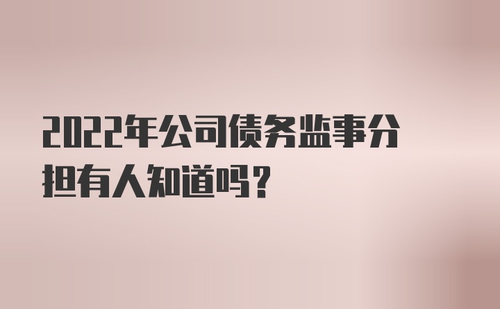 2022年公司债务监事分担有人知道吗？