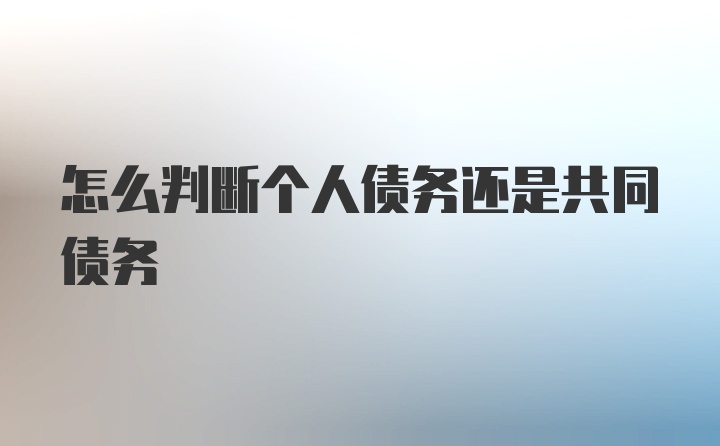 怎么判断个人债务还是共同债务