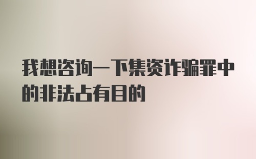 我想咨询一下集资诈骗罪中的非法占有目的