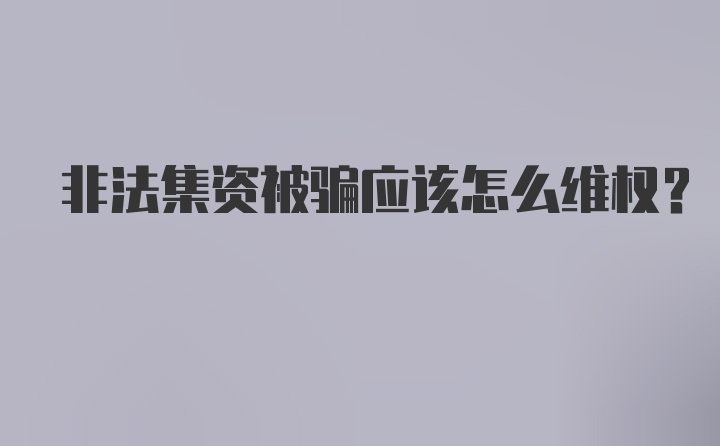 非法集资被骗应该怎么维权？