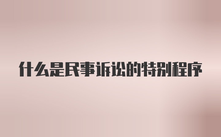 什么是民事诉讼的特别程序