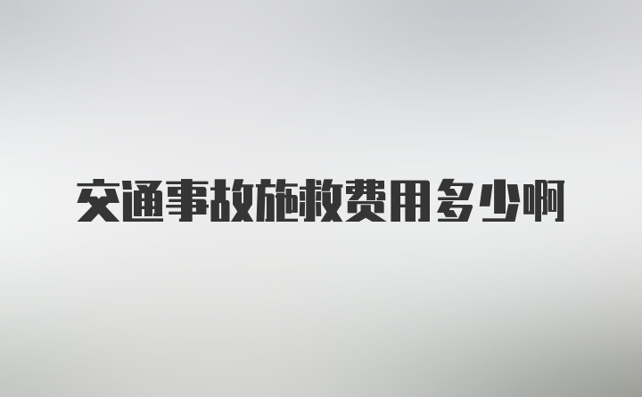 交通事故施救费用多少啊