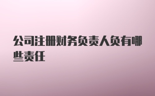 公司注册财务负责人负有哪些责任