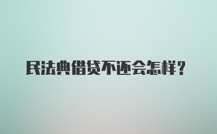 民法典借贷不还会怎样？