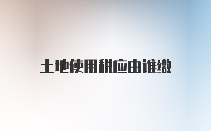 土地使用税应由谁缴