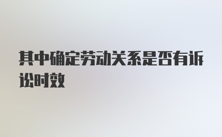 其中确定劳动关系是否有诉讼时效