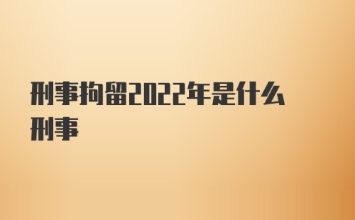 刑事拘留2022年是什么刑事