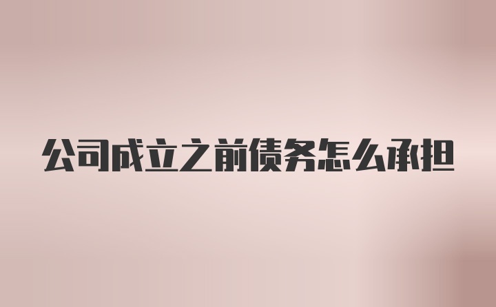 公司成立之前债务怎么承担