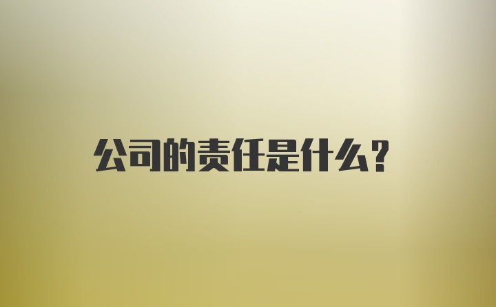 公司的责任是什么？