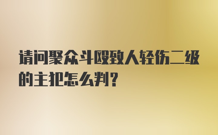 请问聚众斗殴致人轻伤二级的主犯怎么判？