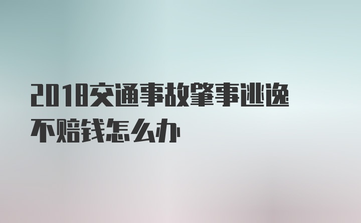 2018交通事故肇事逃逸不赔钱怎么办