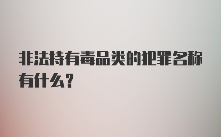 非法持有毒品类的犯罪名称有什么？