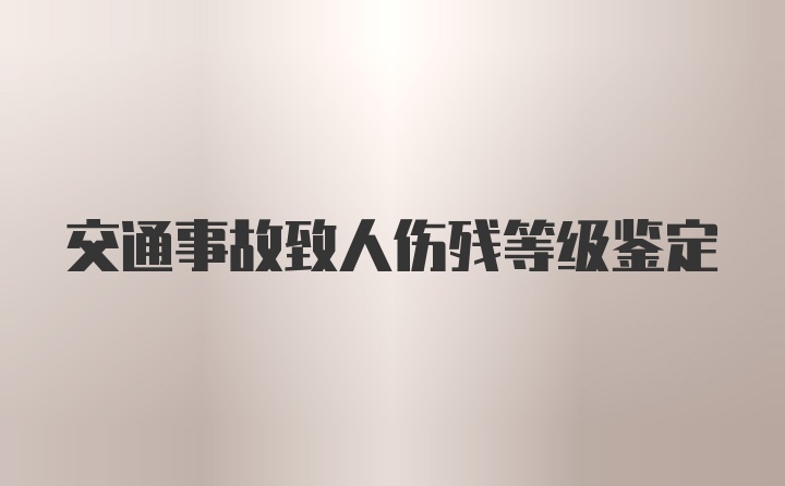 交通事故致人伤残等级鉴定