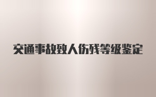 交通事故致人伤残等级鉴定