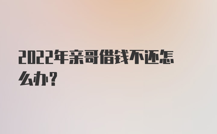 2022年亲哥借钱不还怎么办？