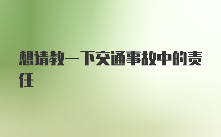 想请教一下交通事故中的责任