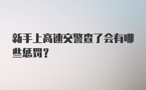 新手上高速交警查了会有哪些惩罚？