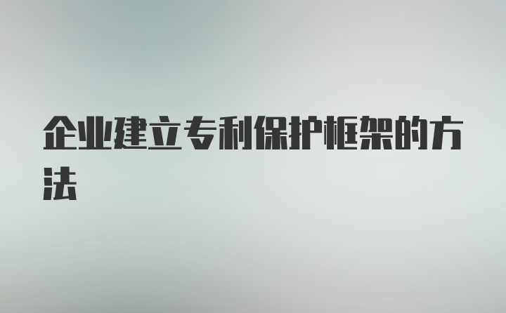 企业建立专利保护框架的方法