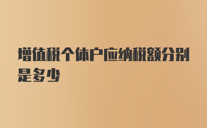 增值税个体户应纳税额分别是多少