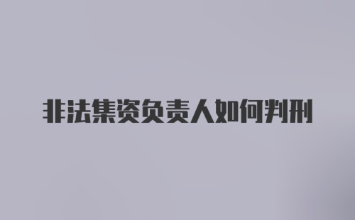 非法集资负责人如何判刑