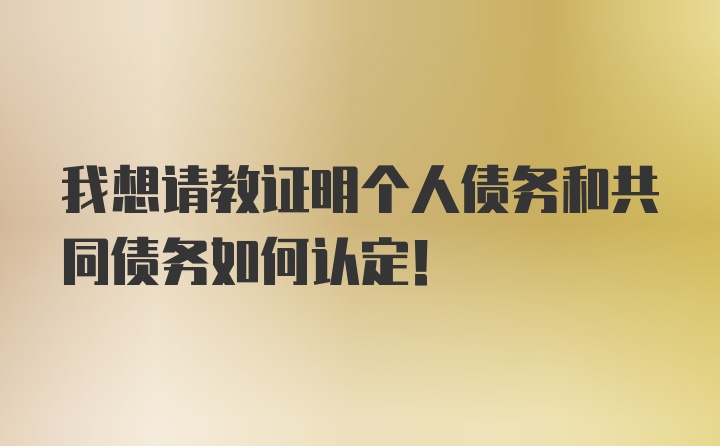 我想请教证明个人债务和共同债务如何认定！