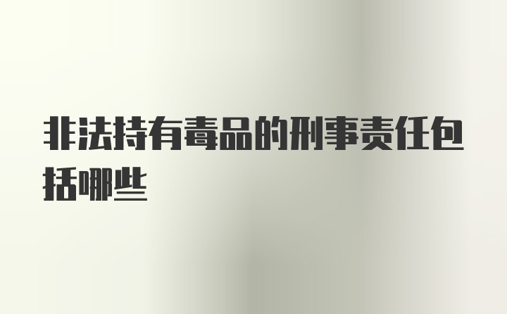 非法持有毒品的刑事责任包括哪些