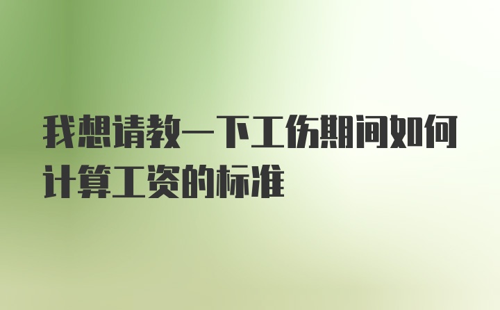 我想请教一下工伤期间如何计算工资的标准