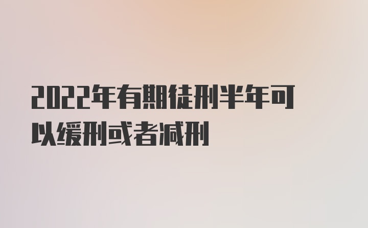 2022年有期徒刑半年可以缓刑或者减刑