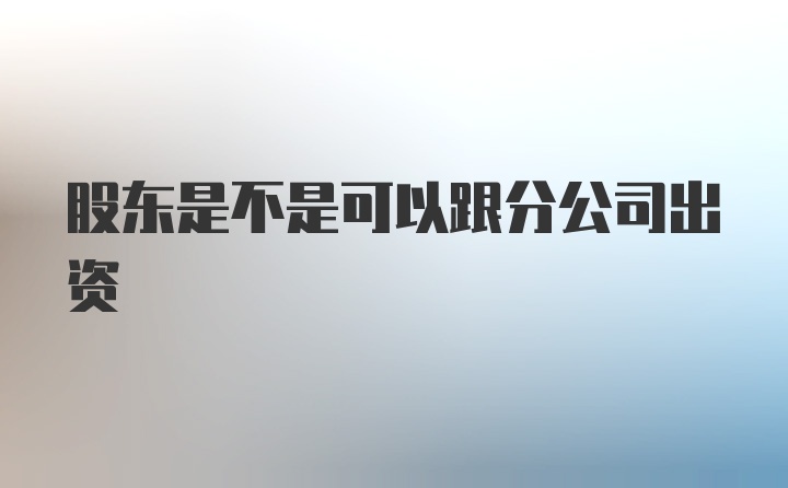 股东是不是可以跟分公司出资