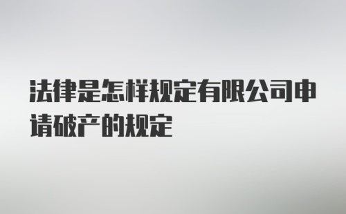 法律是怎样规定有限公司申请破产的规定