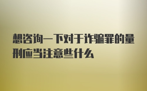 想咨询一下对于诈骗罪的量刑应当注意些什么