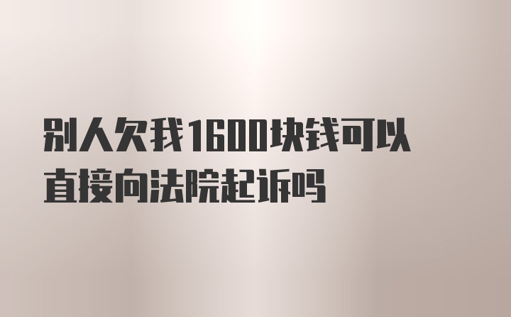 别人欠我1600块钱可以直接向法院起诉吗