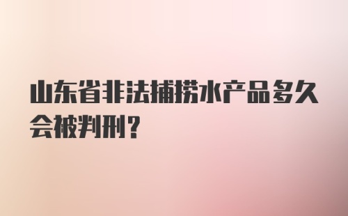 山东省非法捕捞水产品多久会被判刑？