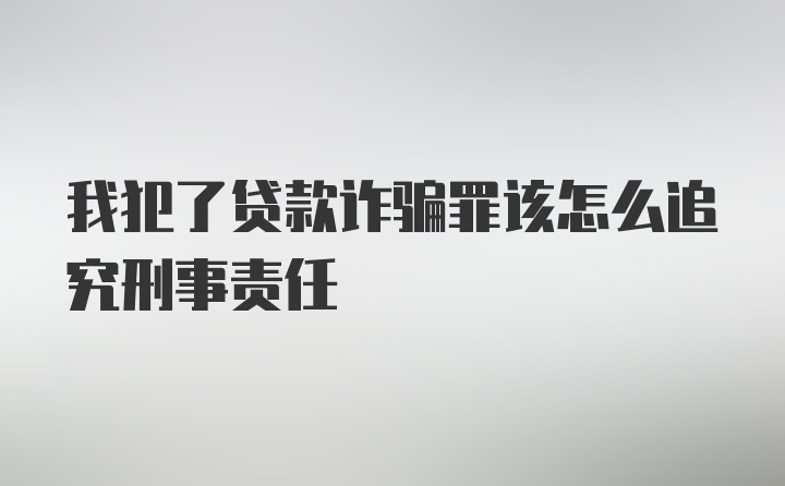 我犯了贷款诈骗罪该怎么追究刑事责任