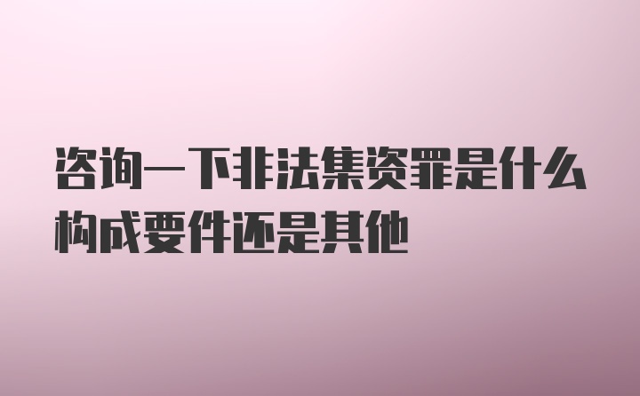 咨询一下非法集资罪是什么构成要件还是其他