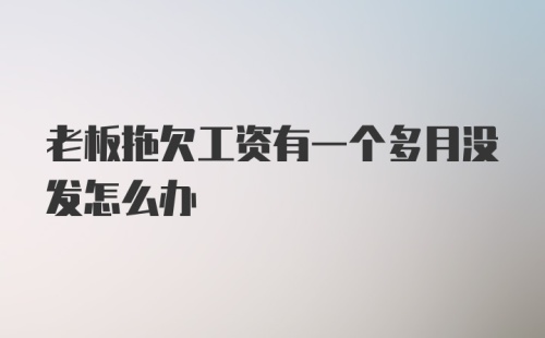 老板拖欠工资有一个多月没发怎么办