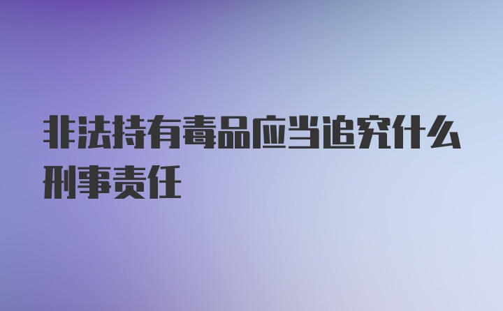 非法持有毒品应当追究什么刑事责任