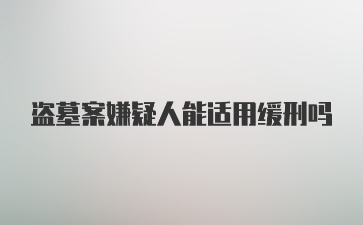 盗墓案嫌疑人能适用缓刑吗