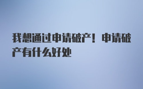 我想通过申请破产！申请破产有什么好处