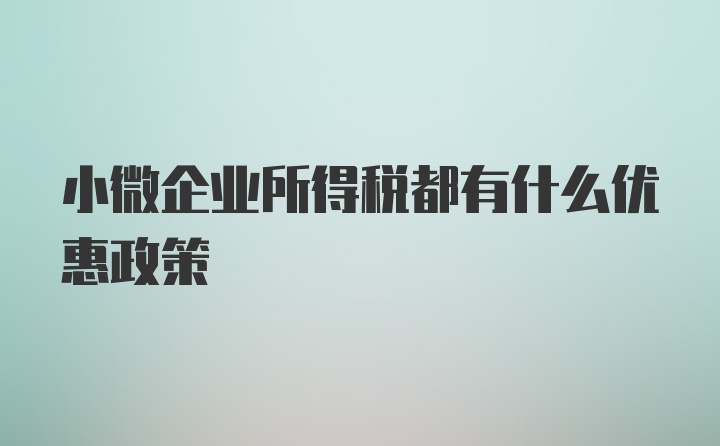 小微企业所得税都有什么优惠政策