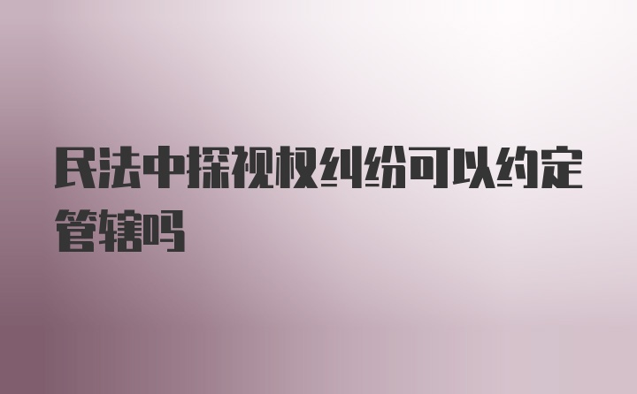 民法中探视权纠纷可以约定管辖吗