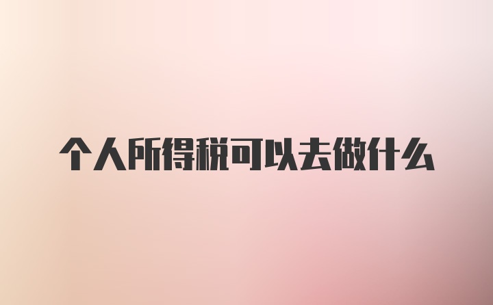 个人所得税可以去做什么