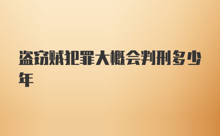 盗窃贼犯罪大概会判刑多少年