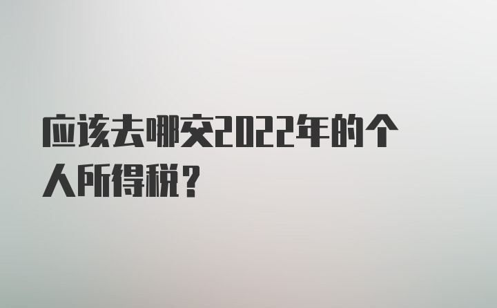 应该去哪交2022年的个人所得税?