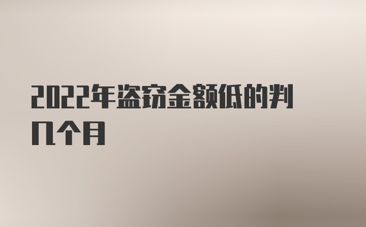 2022年盗窃金额低的判几个月