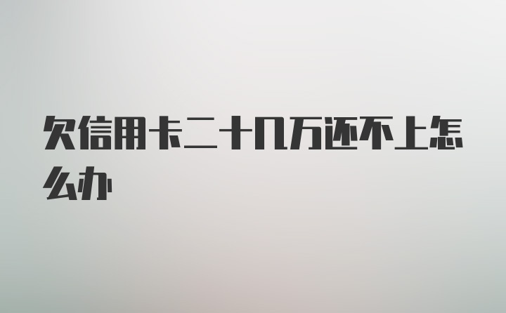 欠信用卡二十几万还不上怎么办