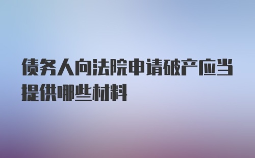 债务人向法院申请破产应当提供哪些材料