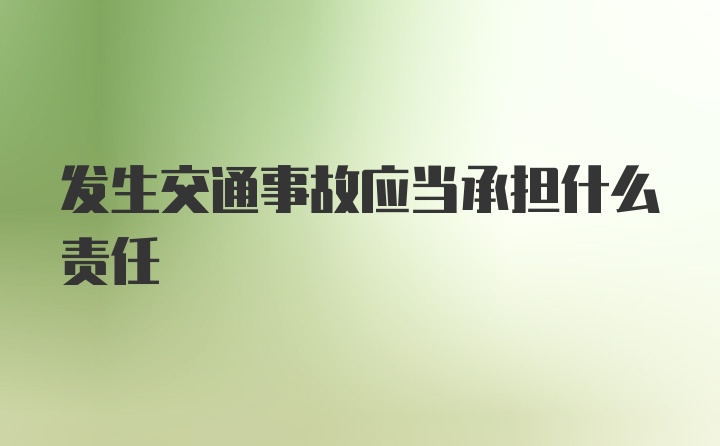 发生交通事故应当承担什么责任